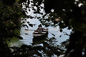 Couple rowing together.