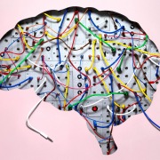 rewiring brain